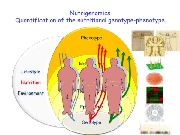 NUTRIGENOMICS AND NUTRIGENETICS ONLINE COURSE - Image 5