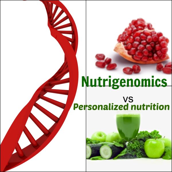 NUTRIGENOMICS AND NUTRIGENETICS ONLINE COURSE - Image 3