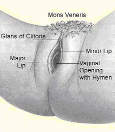 NATUROPATHIC SEXOLOGY COURSE - Image 4